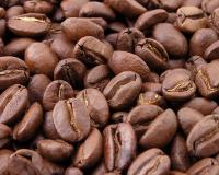 Extinction Arabica 2080