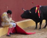 Torero accablé